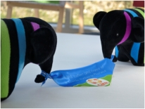 Opération « Journée Mondiale de lEnfance »